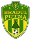 Bradul Putna
