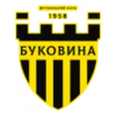 Буковина